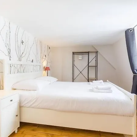 Le Duplex Des Ducs Appartement Dijon Buitenkant foto